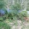 Приму грунт (строительные отходы)