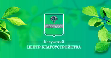 Благоустройство территории