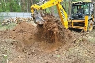Корчевание деревьев, пней и кустарников