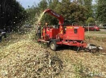 Благоустройство, обрезка веток