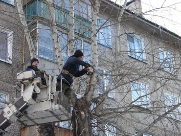 Опиловка и рубка деревьев