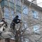 Опиловка и рубка деревьев