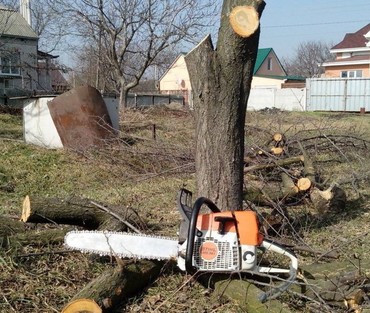 Опиловка и рубка деревьев