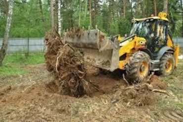 Удаление пней, кустарников и поросли