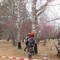 Спил деревьев и кустов, опиловка