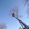 Опиловка деревьев, фасадные работы