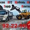Продажа навоза (перегноя) с доставкой
