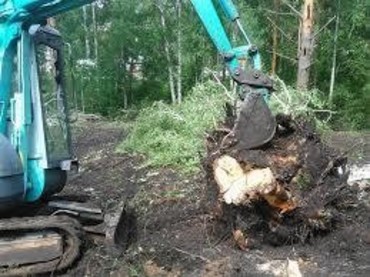Удаление пней, кустарников и поросли