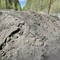 Вывоз строительного мусора (грунта)