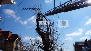 Опиловка и рубка деревьев