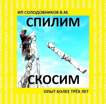 Вырубка деревьев