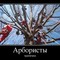 Обрезка деревьев