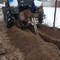 МТЗ 82.1 (ЭТЦ 1609)