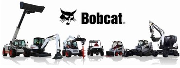 Bobcat