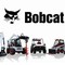 Bobcat