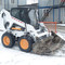 Bob CAT 175