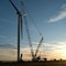 Liebherr, Zoomllion, XCMG
