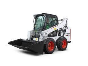Bobcat