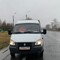 Газель