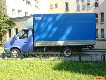 Газель