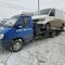 Газель