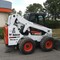 Bobcat