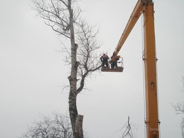 ЗИЛ 433362