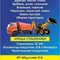 Камаз 6520