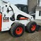 Bobcat 30