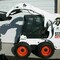 Bobcat 300