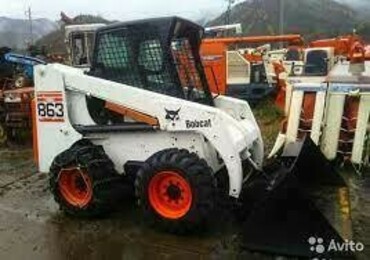 Bobcat