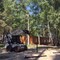 Bobcat S250