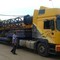 MAN, DAF, VOLVO