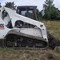 Bobcat