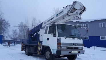Isuzu tadano 230
