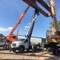 Газон Некст