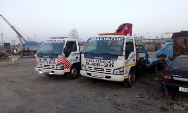 Isuzu