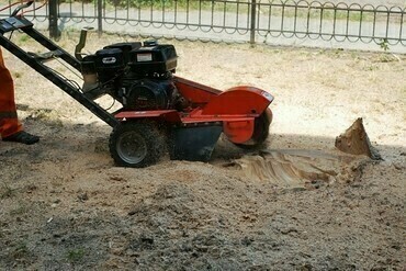 HUSQVARNA SG13