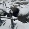 Мост средний Мадара (Madara) на Камаз 65222, 6522 для кранов башенных