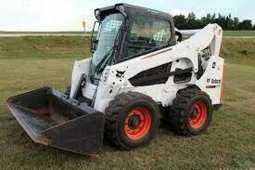 Bobcat