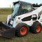 Bobcat