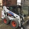 Bobcat