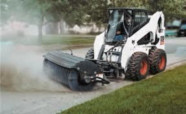 Bobcat