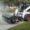 Bobcat