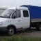 Газель