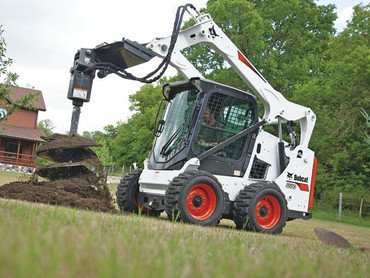 Bobcat