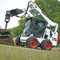 Bobcat