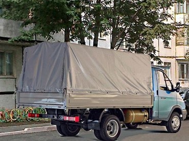 Газель