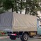 Газель