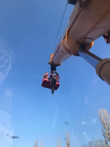 Газон Некст
